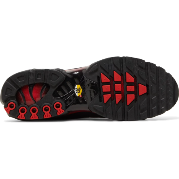 Nike Air Max Plus Bred Reflective