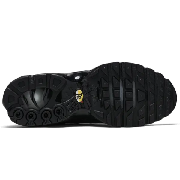 Nike Air Max Plus Triple Black