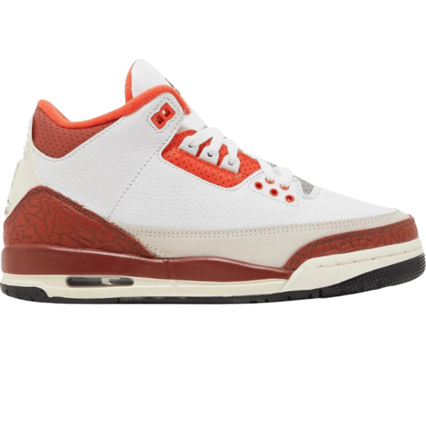 Jordan 3 Retro SE Dunk on Mars (GS)