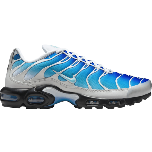 Nike Air Max Plus One Block Down Light Photo Blue