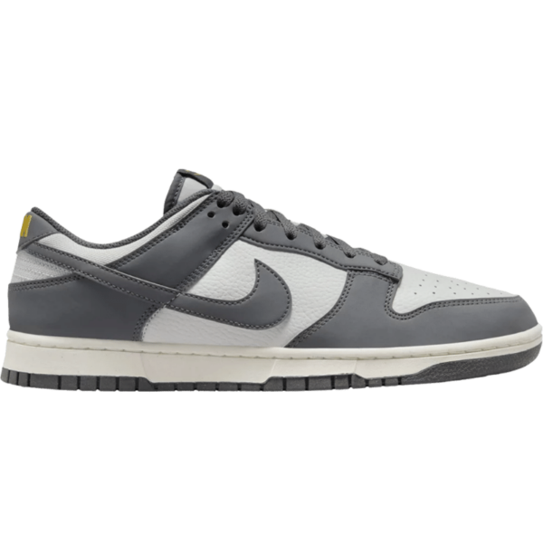 Nike Dunk Low Next Nature Iron Grey Lightning