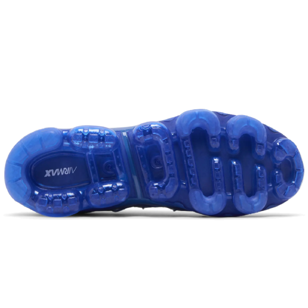 Nike Air VaporMax Plus Game Royal Metallic Silver