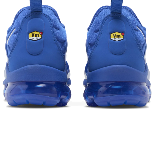 Nike Air VaporMax Plus Game Royal Metallic Silver