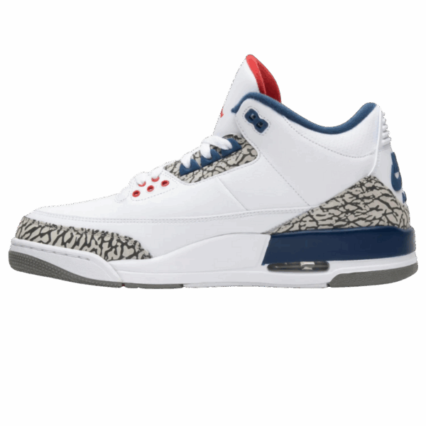 Jordan 3 Retro True Blue (2016) - Image 2