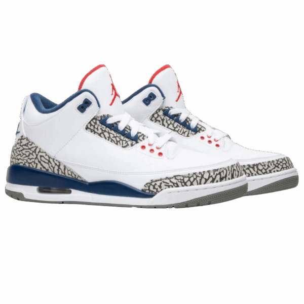 Jordan 3 Retro True Blue (2016) - Image 5