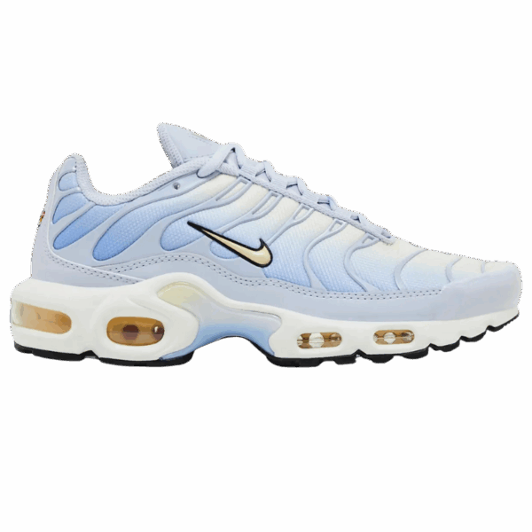 Nike Air Max Plus Daybreak (Women's)