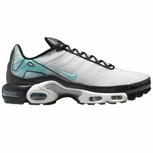 Nike Air Max Plus Mercurial Vapor
