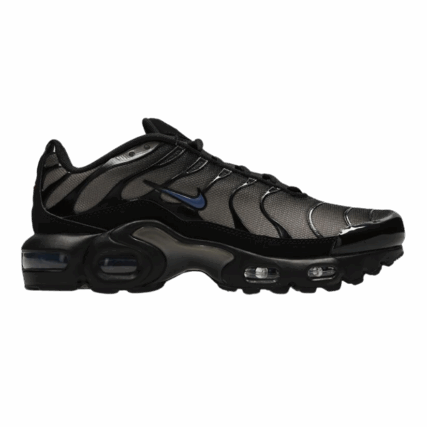 Nike Air Max Plus GS Black Cave Stone