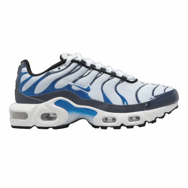 Nike Air Max Plus Thunder Blue Photo Blue (GS)