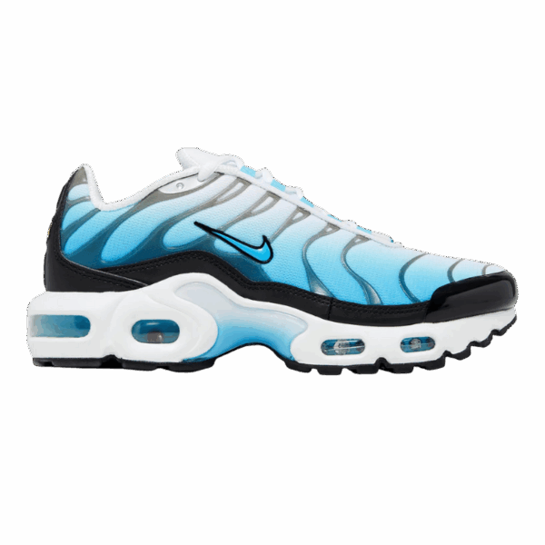 Nike Air Max Plus Ice (GS)