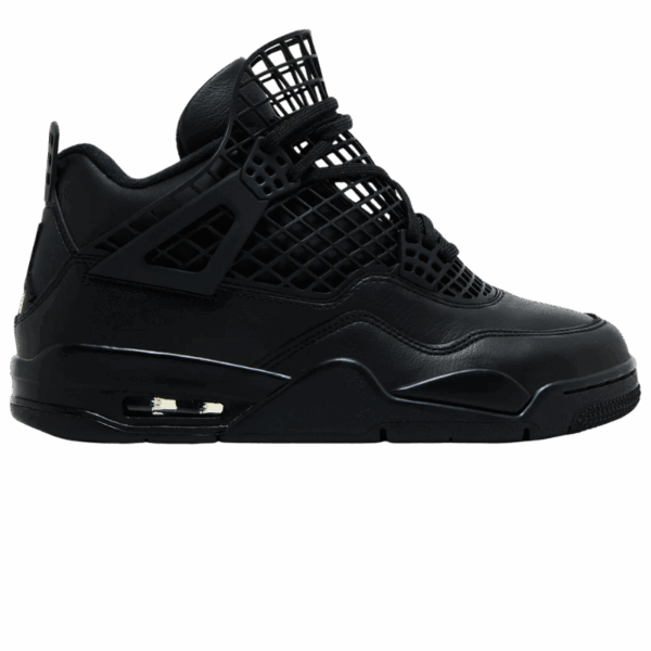 Jordan 4 Retro Net Black (Women's)