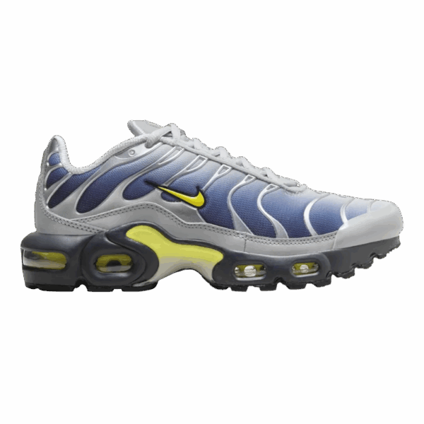 Nike Air Max Plus Obsidian Silver (GS)