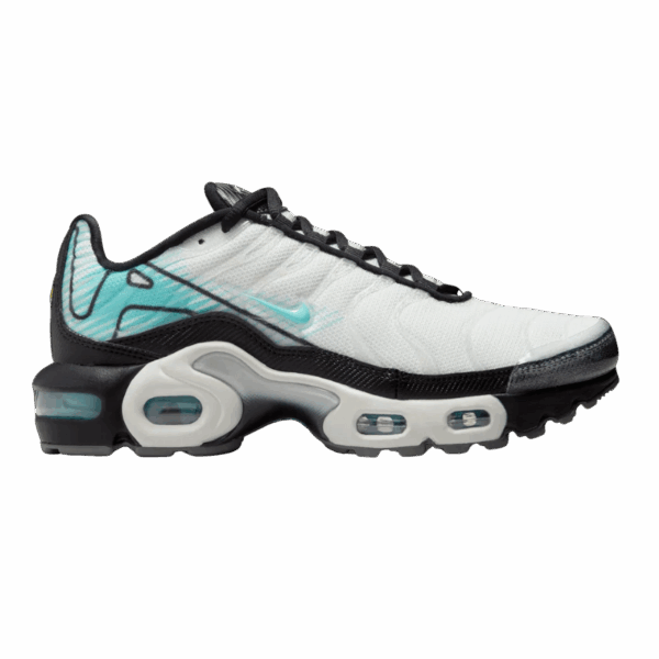 Nike Air Max Plus Hyper Blue (GS)