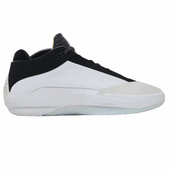 Jordan 40 The Classic