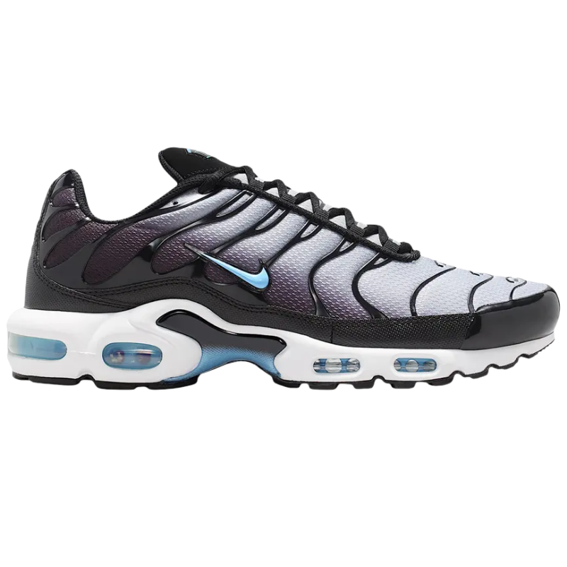 Nike Air Max Plus Black Light Smoke Grey