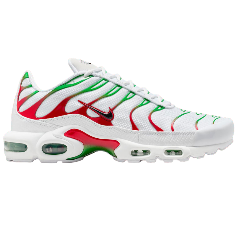 Nike Air Max Plus Italy